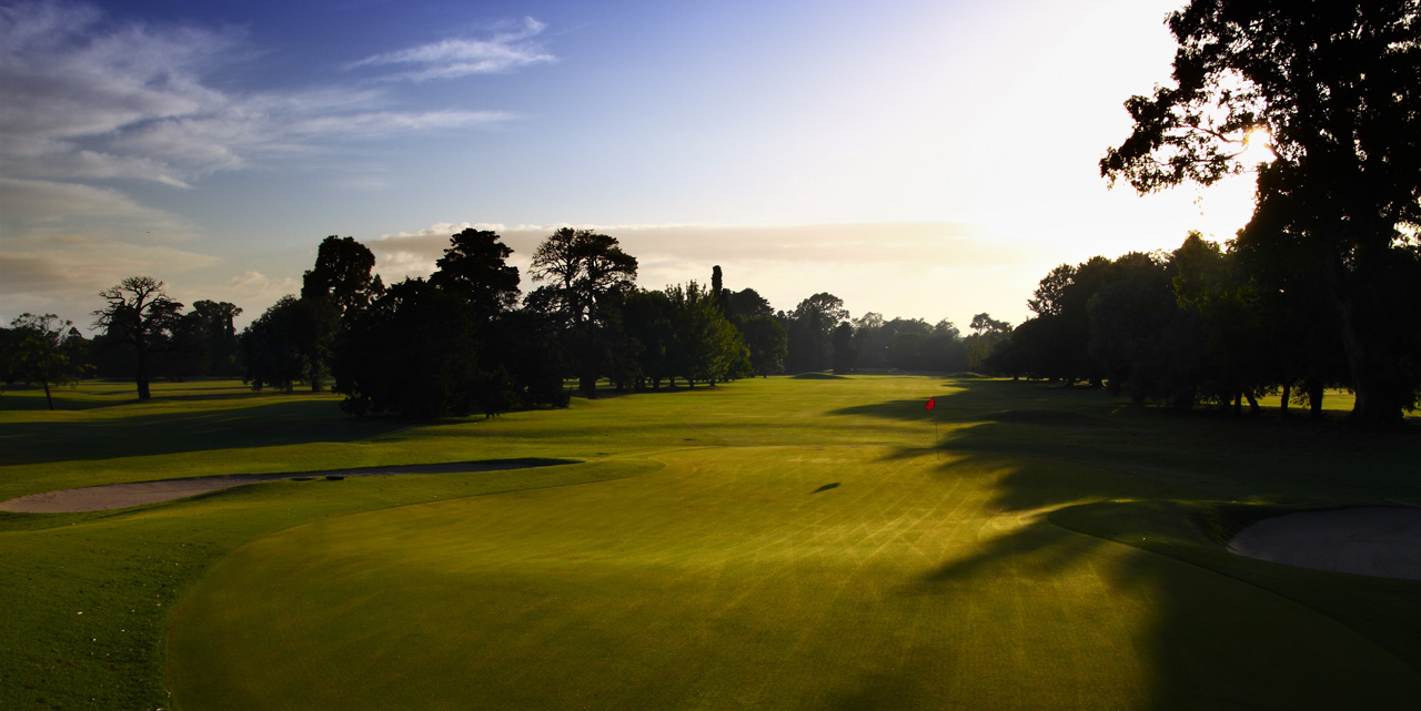 Jockey GC (1)
