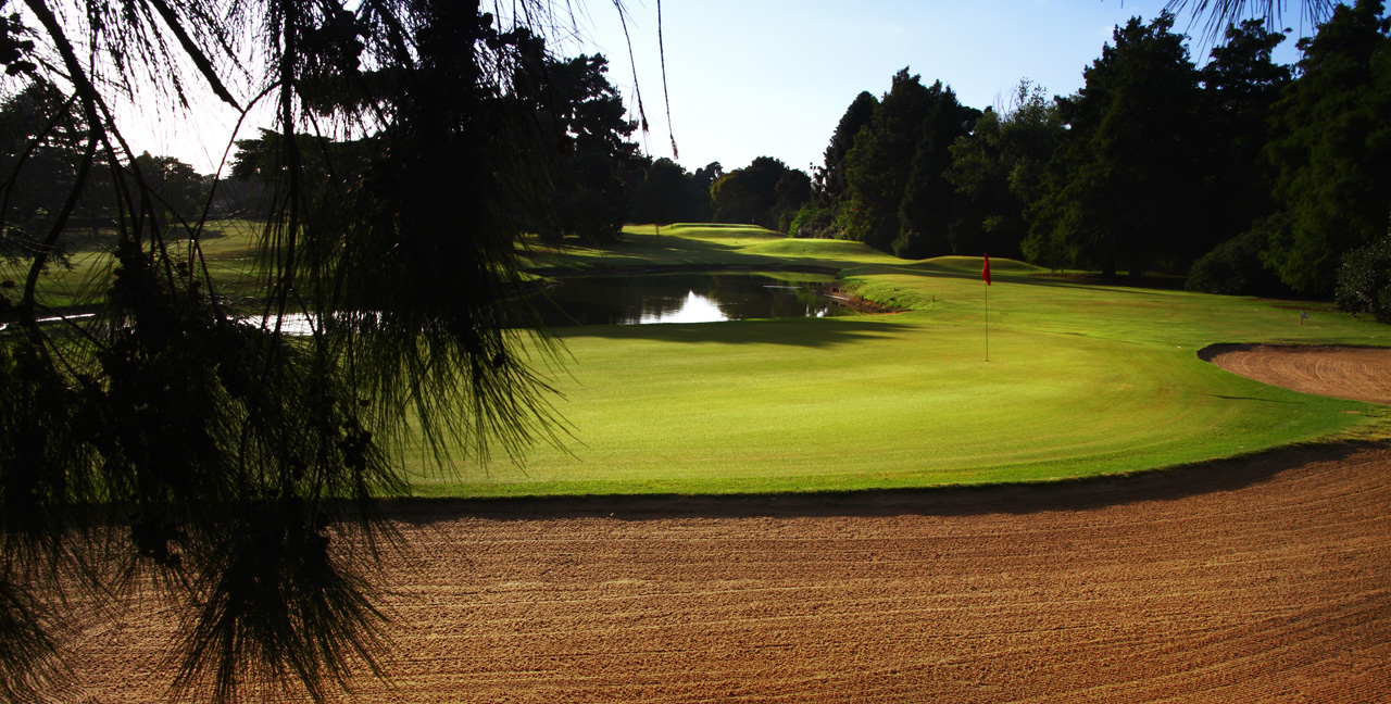 Jockey GC (5)