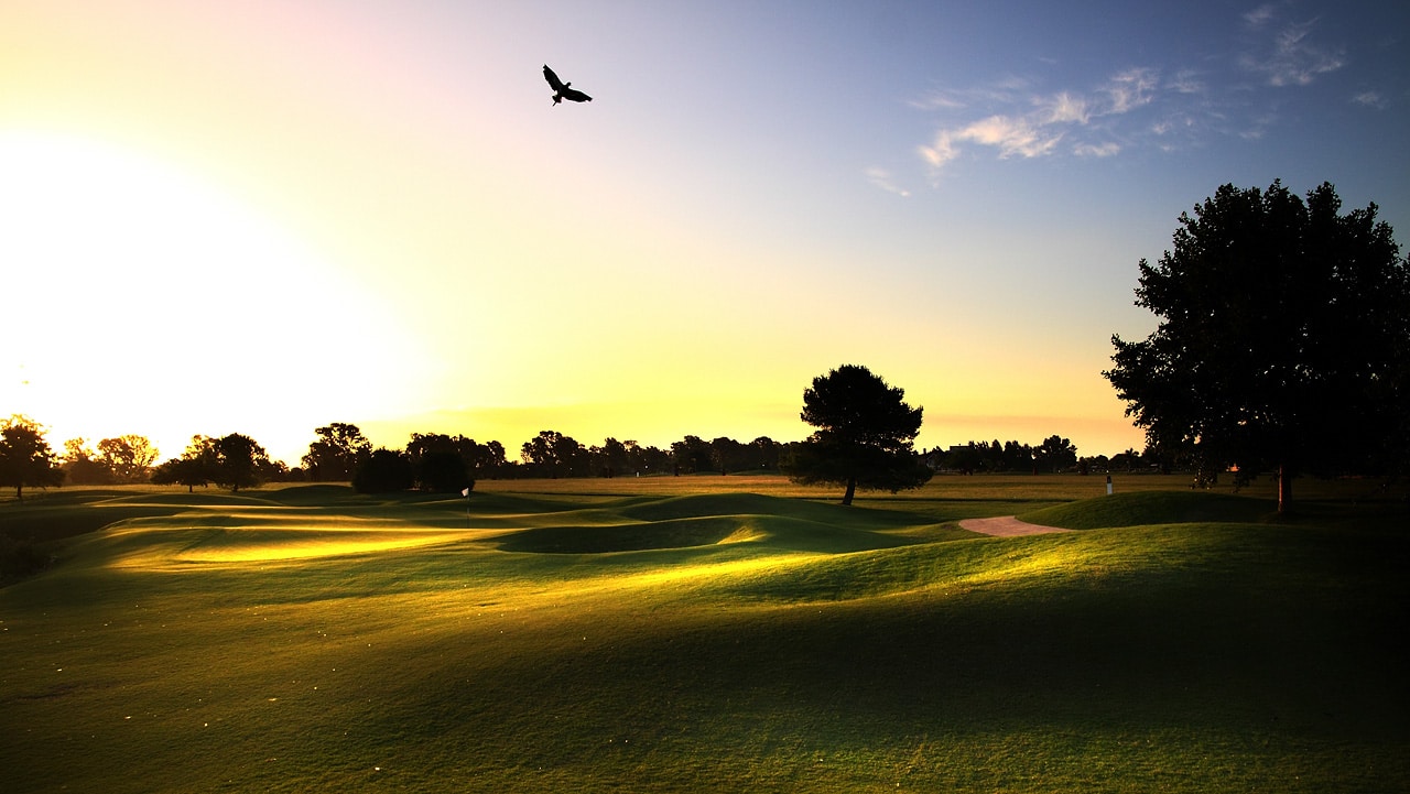 Pilar GC (6)